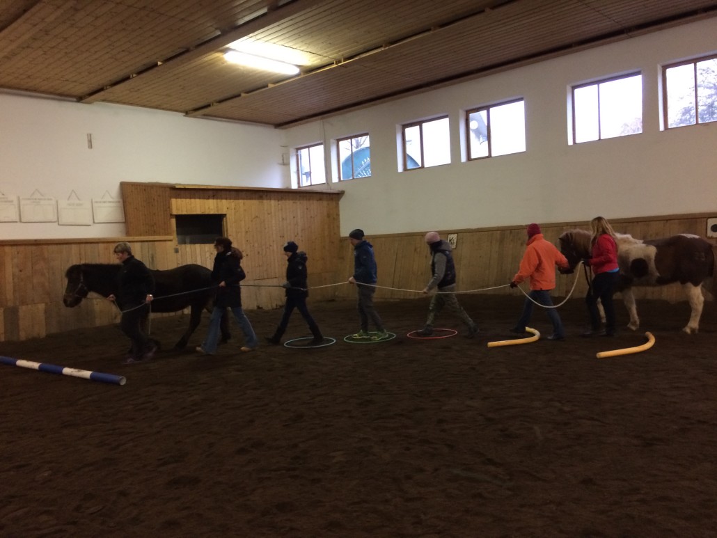 Teambuilding Pferde Seminar, Workshop, Teamentwicklung, Teambuilding, Pferde, Coaching Supervision